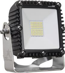 4X4 AC SCENE LIGHT BLK 110V
